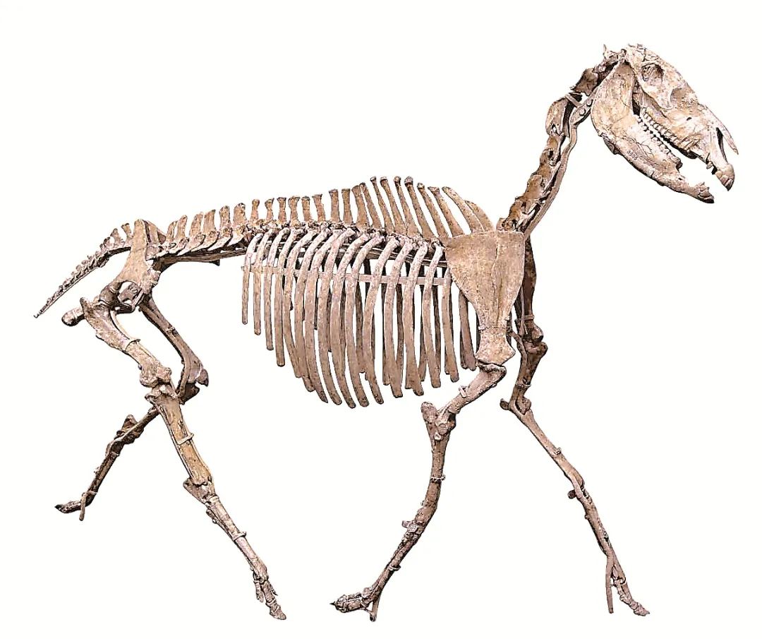 1668388163968894.jpg 1668388163968894.jpg