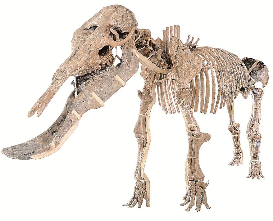 1668388177637181.jpg 1668388177637181.jpg