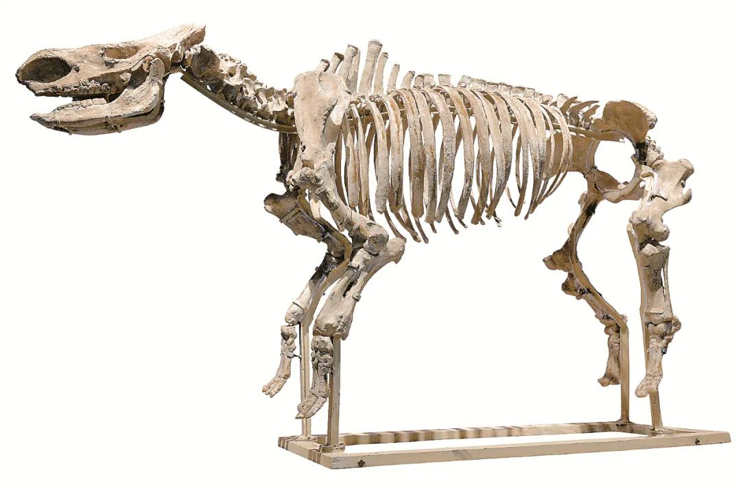 1668388198680455.jpg 1668388198680455.jpg