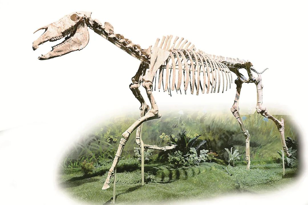 1668388218153016.jpg 1668388218153016.jpg