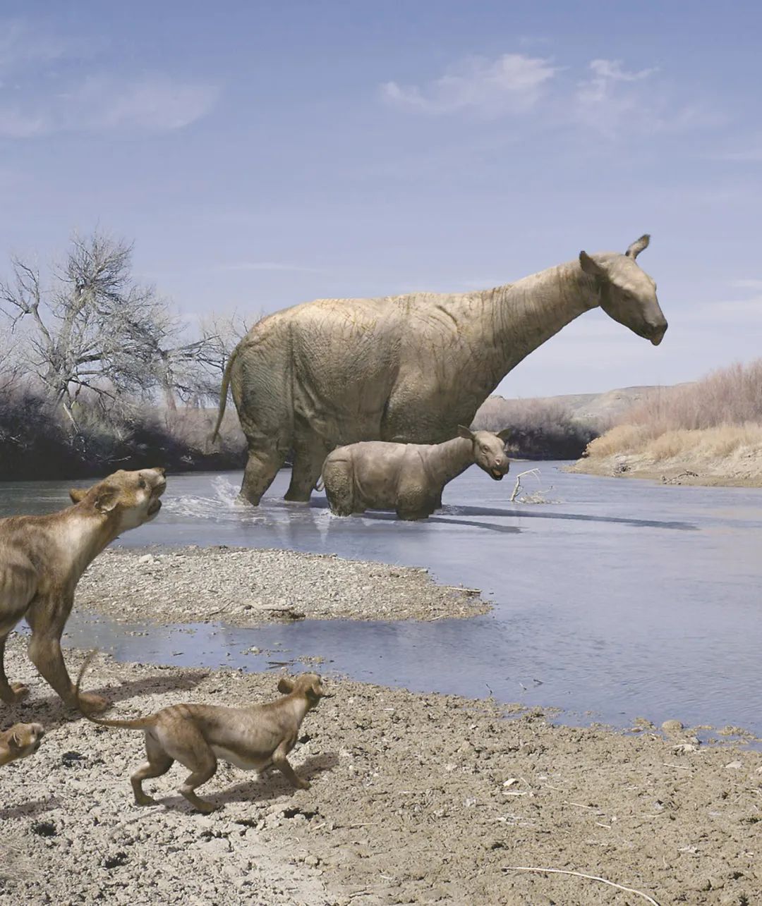 1668388370169121.jpg 1668388370169121.jpg