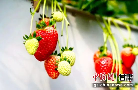 1676508788707352.jpg 1676508788707352.jpg