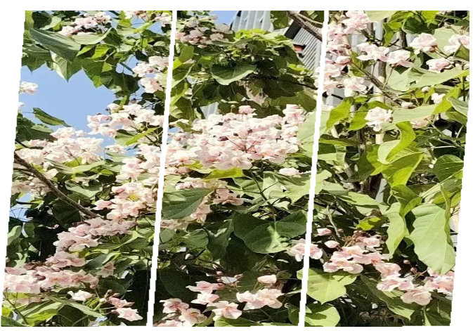 1685950058425170.png QQ截图20230605153208.png