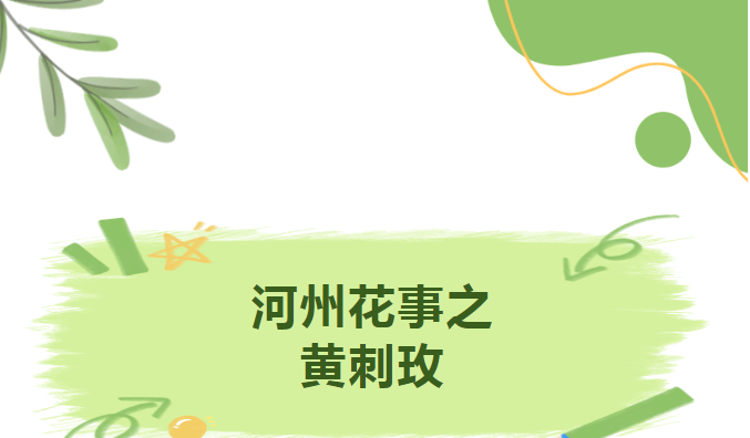 Screenshot_20230703145448.png