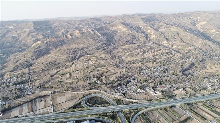 1689038872695159.jpg d1.jpg