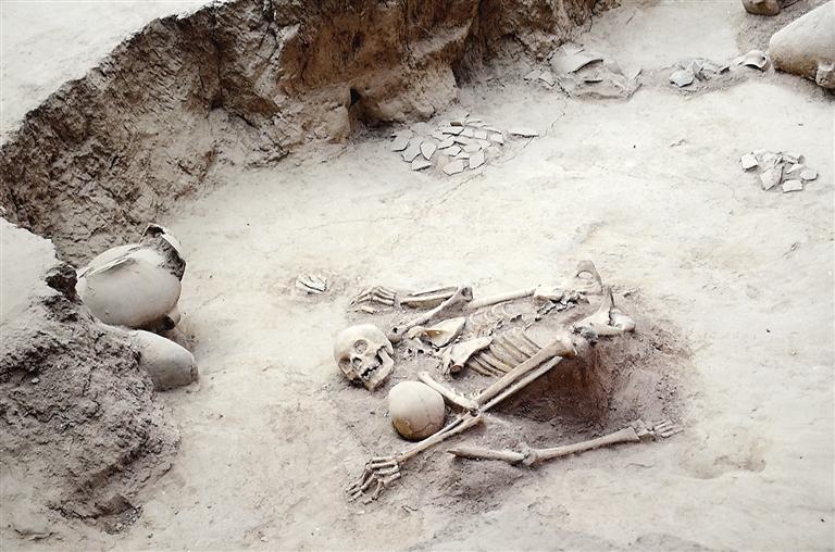 1689038906598472.jpg 253.jpg