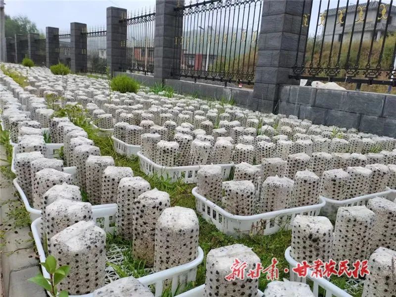 微信图片_20231011111707.jpg