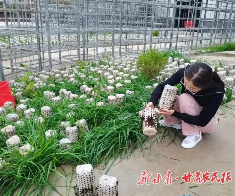 微信图片_20231011111714.jpg