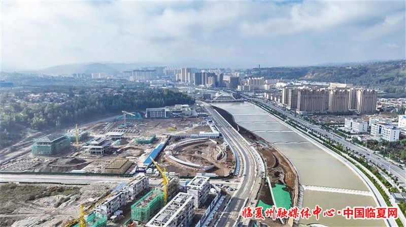 1698887041433101.jpg 62196b4f-2b6f-46c0-a47f-5d351bfa2b03.jpg.jpg