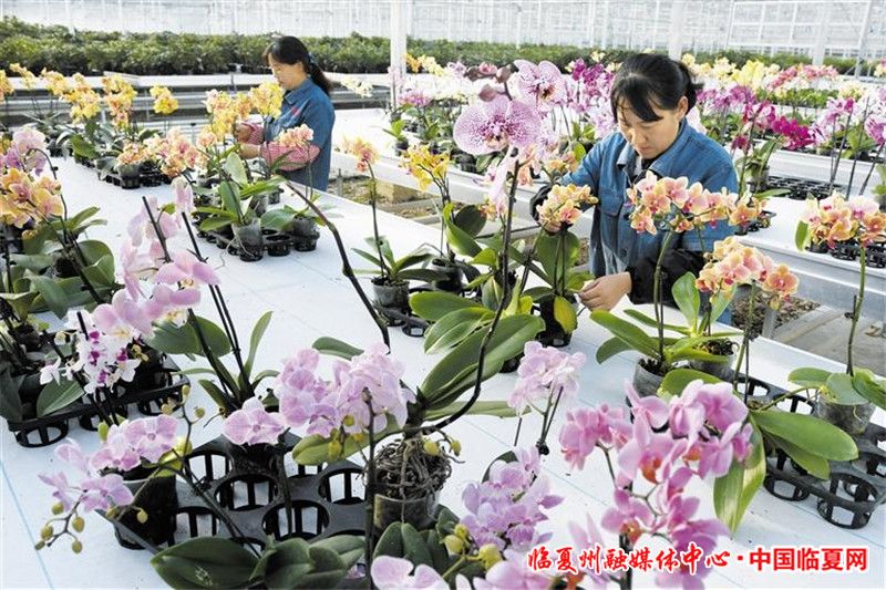 1698887048107151.jpg dc354b2d-fb77-4c48-a45f-a614f1bf9f04.jpg.jpg