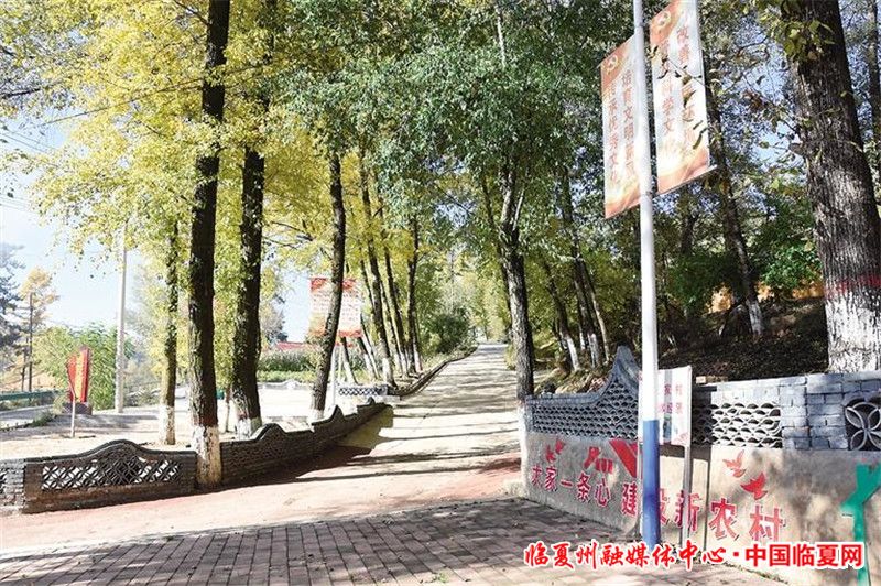 1698887092205351.jpg 0ea59e7d-2854-4349-a43d-7edccc1c6700.jpg.jpg