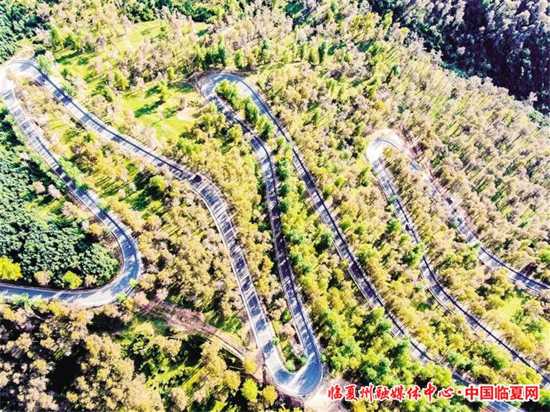 1698887110610221.jpg fd15e6a9-e88b-403c-9bcc-29d056e795e1.jpg.jpg