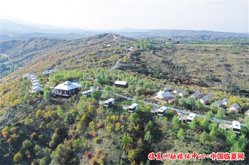 1698887135307405.jpg 4cf09b61-98fc-468f-a62a-78da56144e3d.jpg.jpg