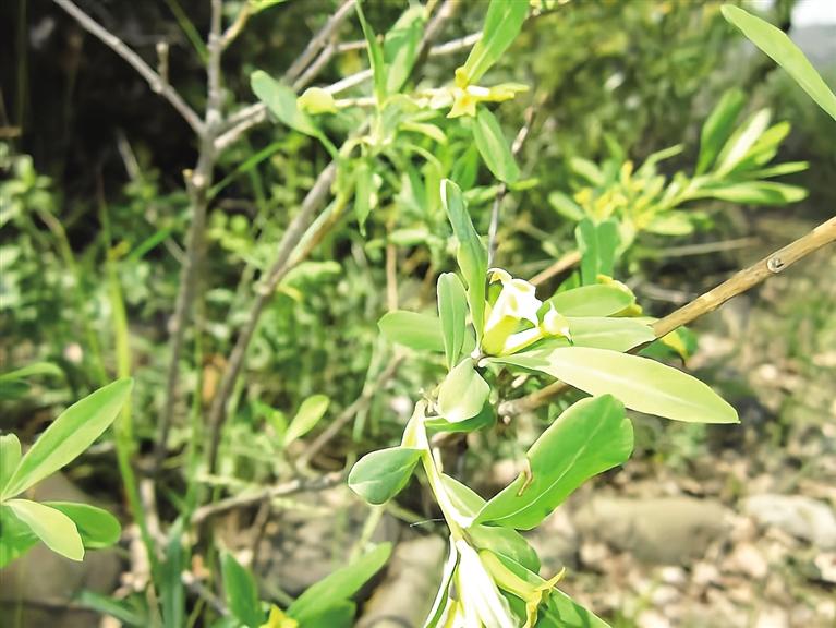 1707008749400419.jpg 7ea95580-d744-4a49-9d35-cd5908c7e5ef.jpg.jpg