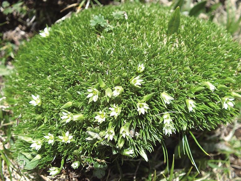 1710624567462708.jpg 2ddc252e-2581-43da-9144-e7cdeecc383e.jpg.jpg